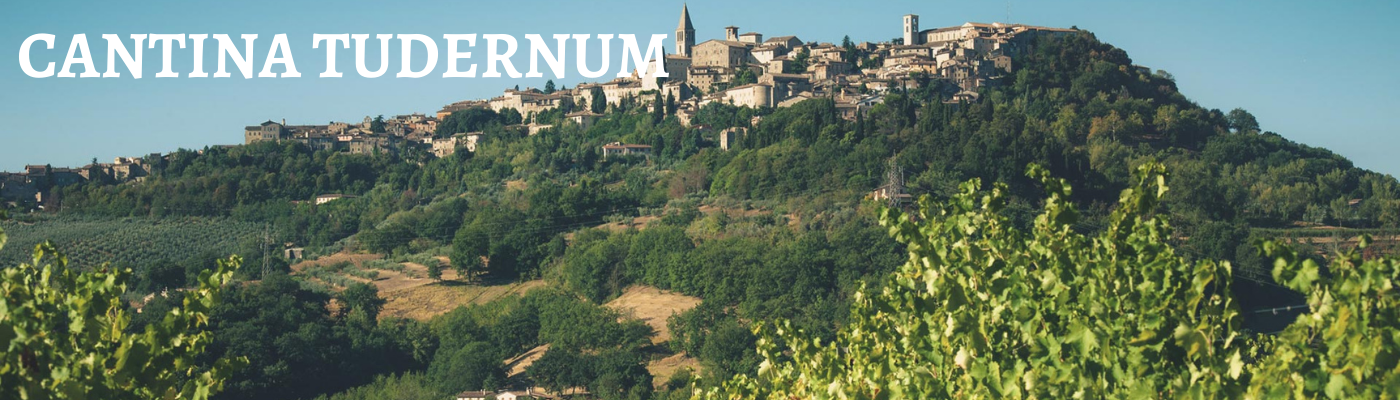 Cantina Tudernum