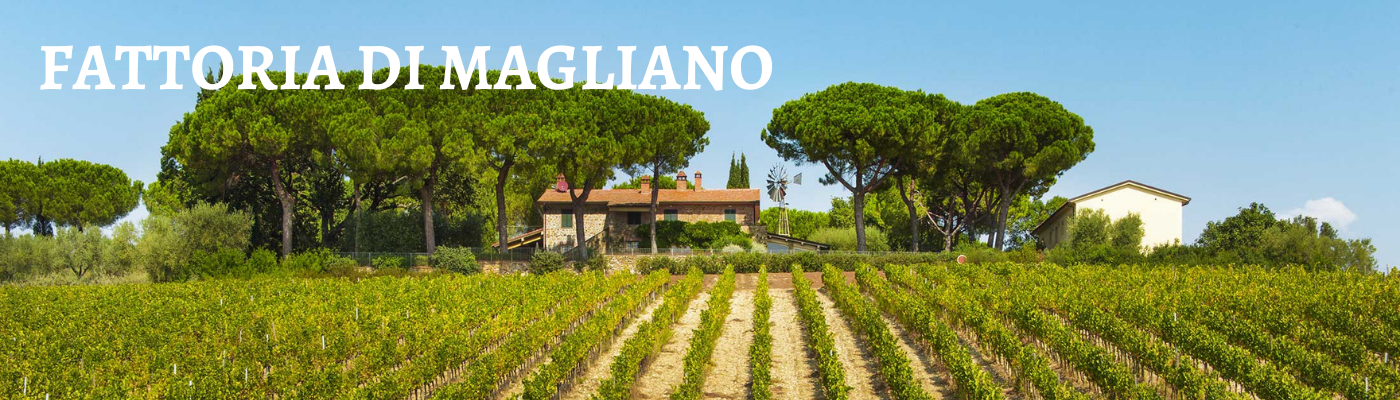 Fattoria di Magliano