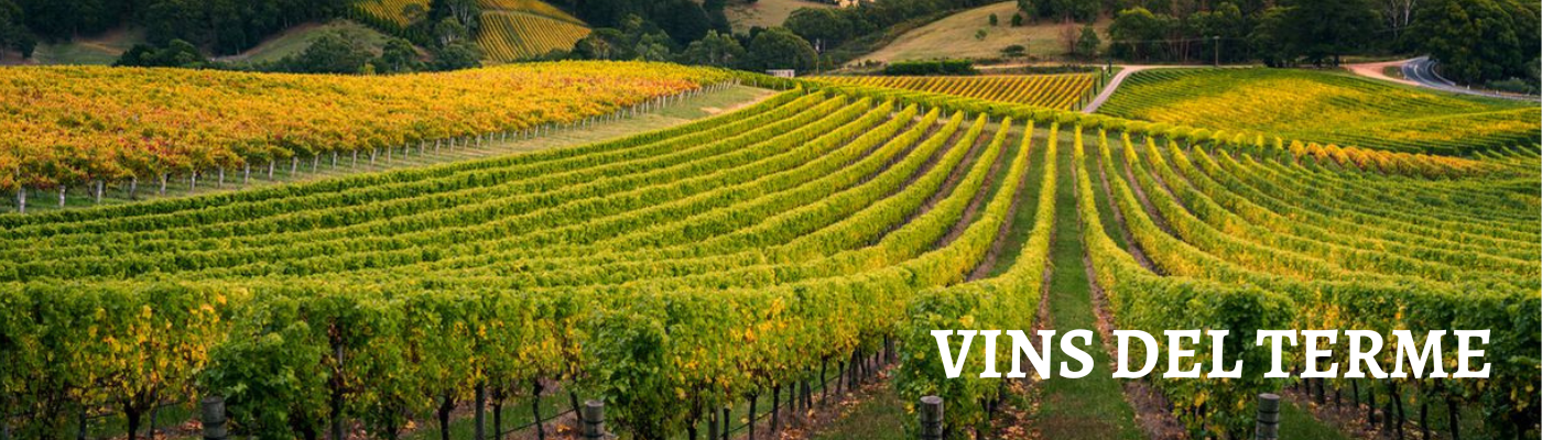 Vins del Terme